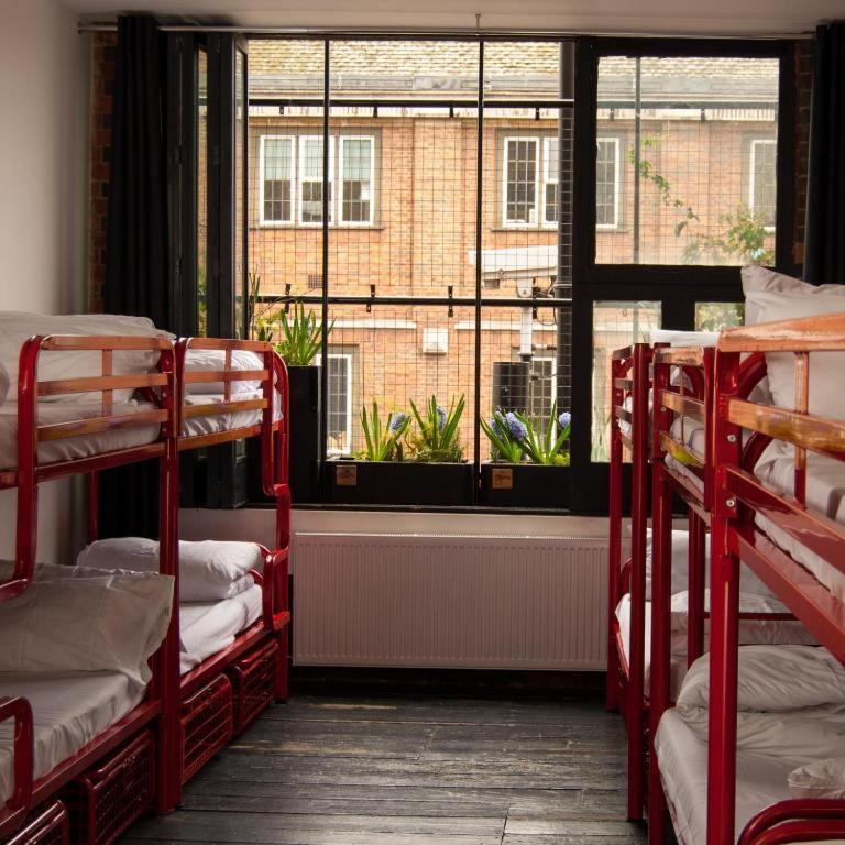 Bed in een Gemengde Slaapzaal met 12 Bedden