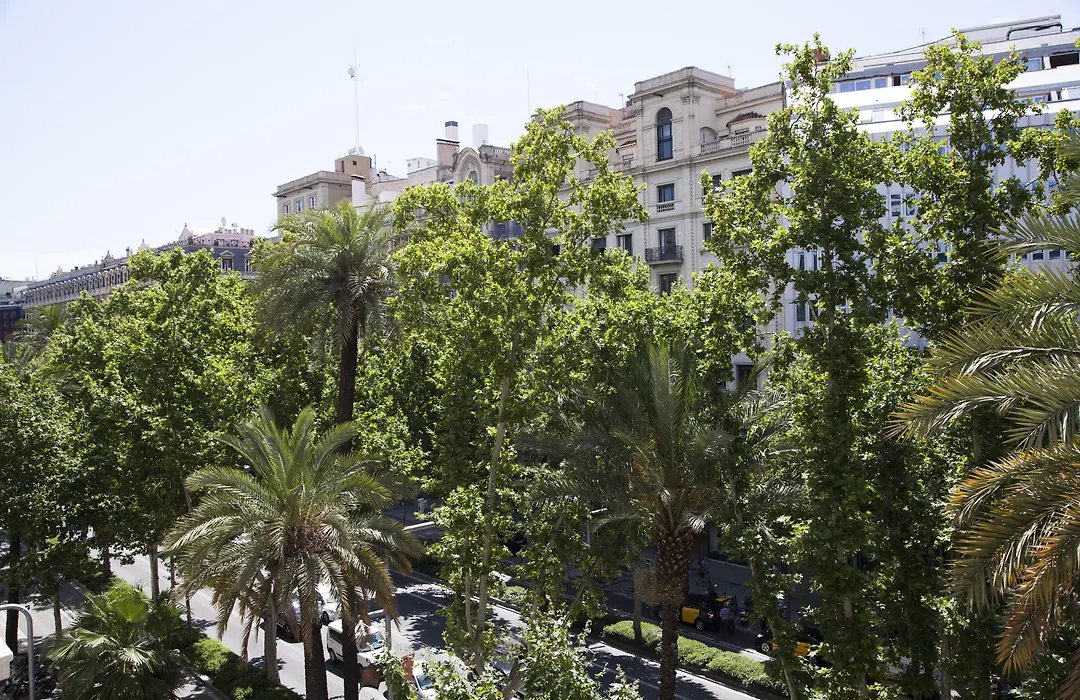 Wow Hostel Barcelona-1