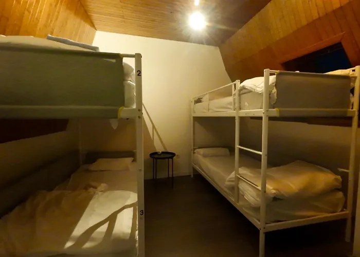 Dolfijn Hostel Antwerpen