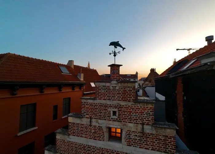 Dolfijn Hostel Antwerpen