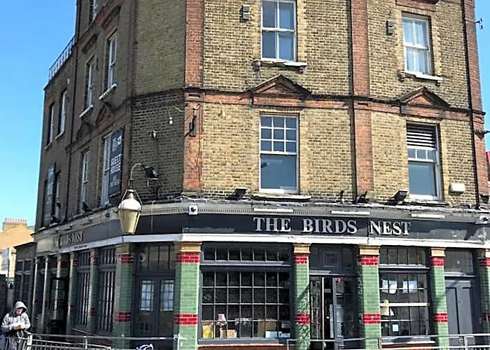 The Birds Nest Hostel Londen